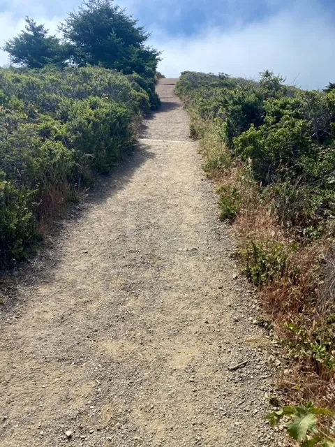 Double Dipsea