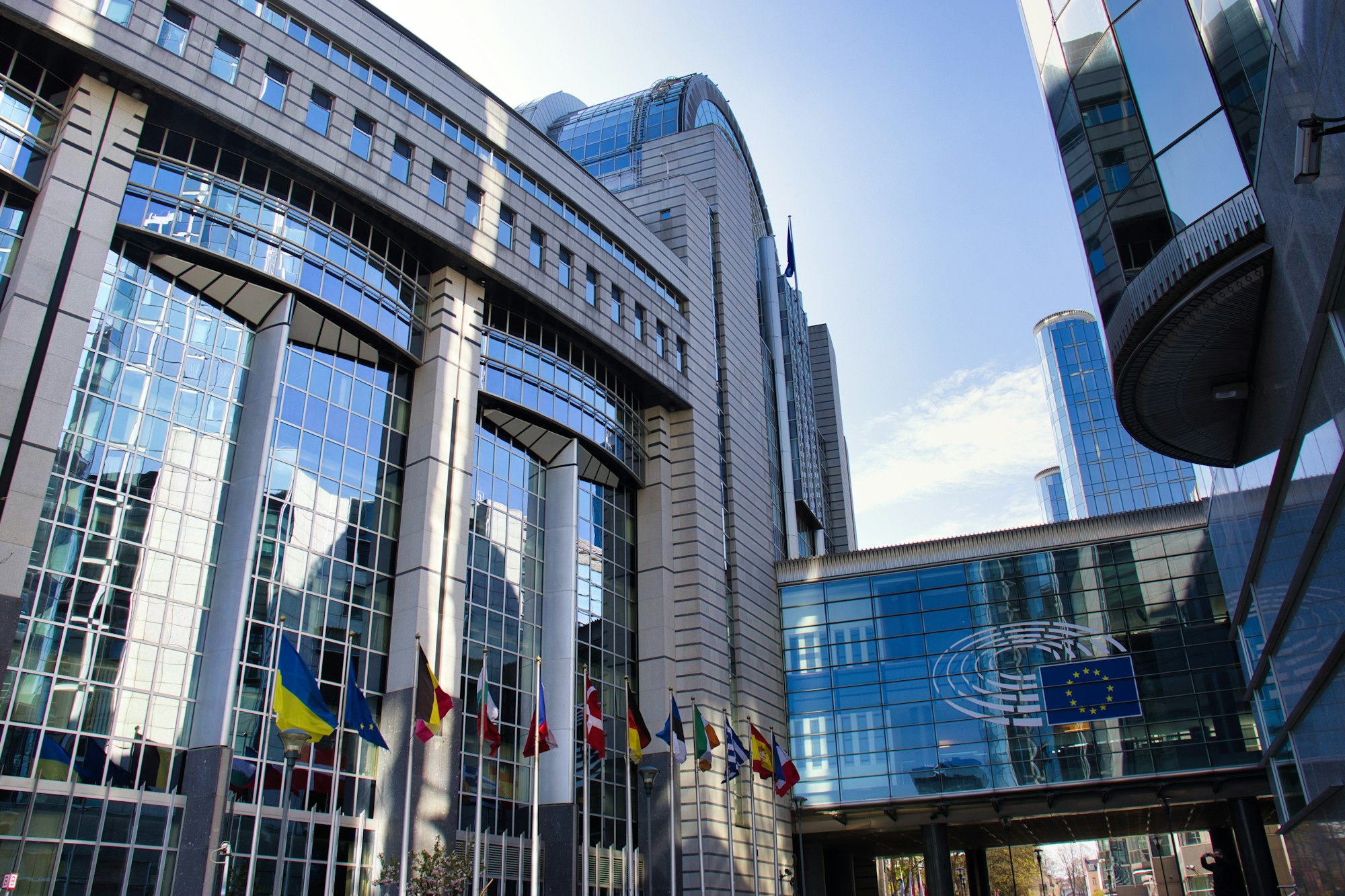 The political economy of trade & subsidiarity
