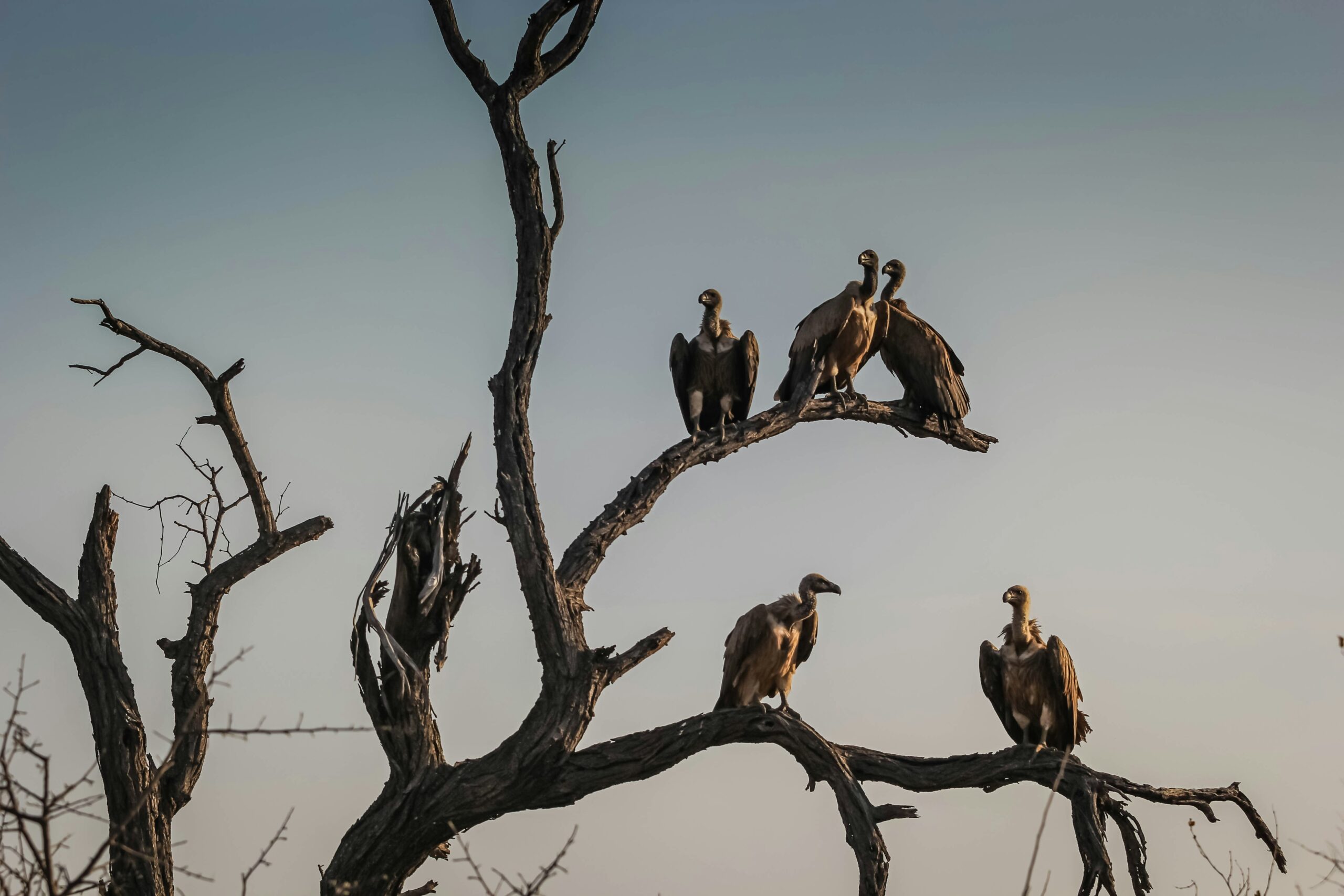 Photo by Kenny Eliason on Unsplash