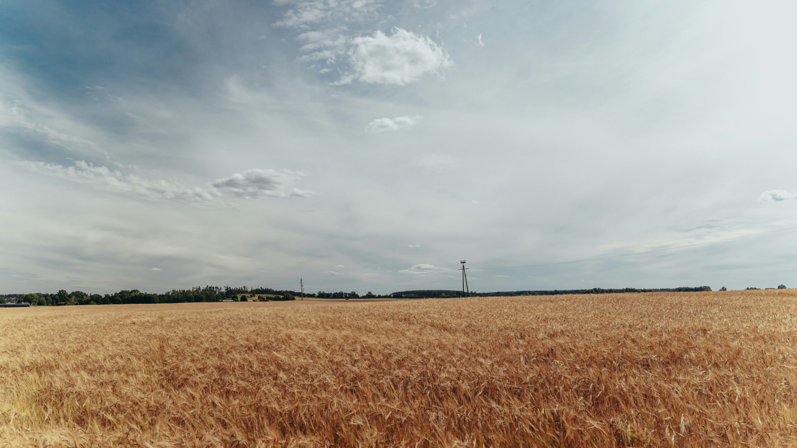 Photo by Michał Bielejewski on Unsplash
