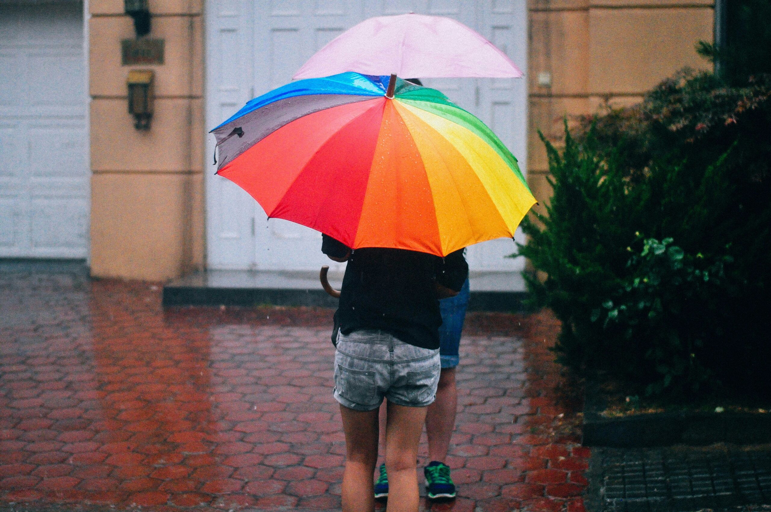 Photo by Rosalind Chang on Unsplash