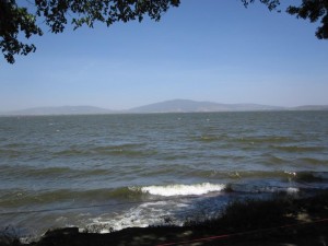 Lake Awassa