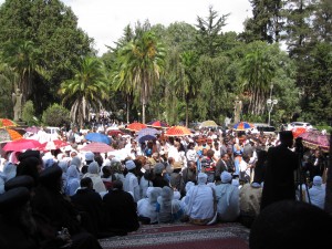 The crowd