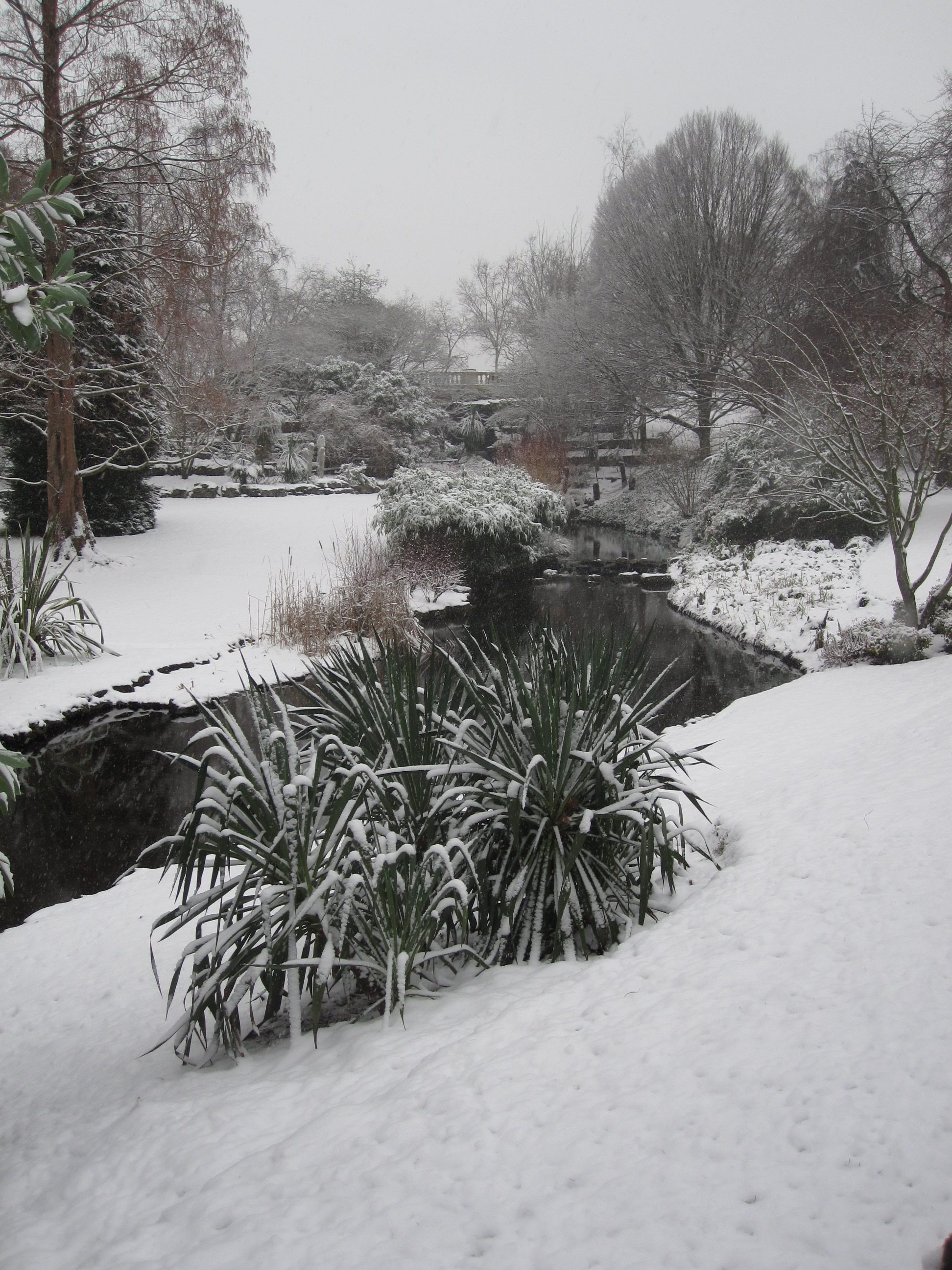 Picture of the Dell in Hyde Park with snow